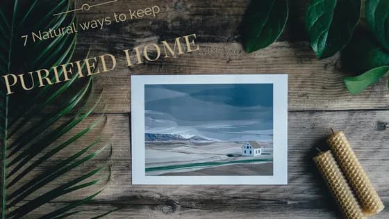 Ways To Keep Your Home Free From Urban Air Pollution
