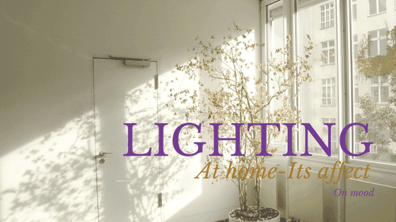 Sunlit room with a potted dry plant by a window, featuring 'LIGHTING' text.