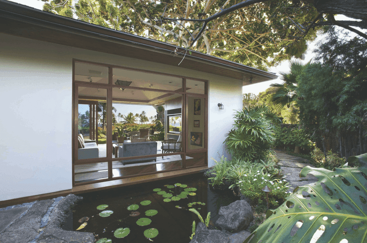 Modern house with large glass windows overlooks a tranquil lily pond surrounded by lush greenery.