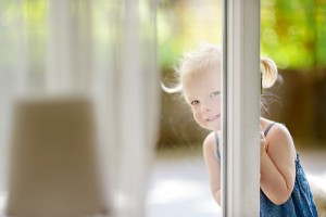 Do Door and Window Designs influence your Home_1
